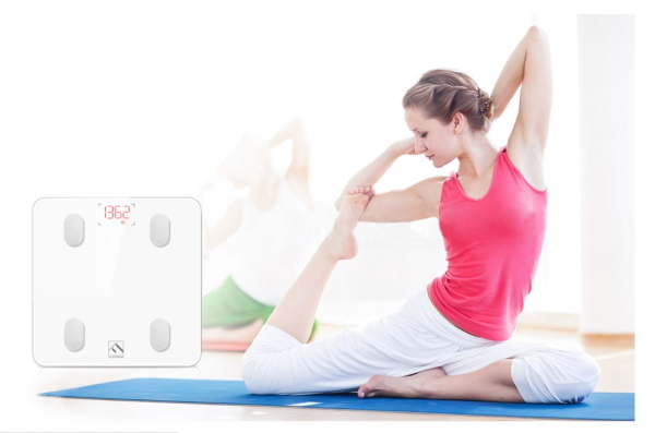 best body fat scale analysis