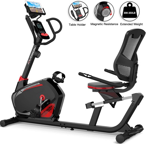 HARISON Magnetic Recumbent Exercise Bike